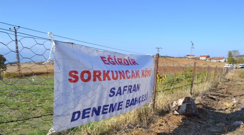 eğirdir,egirdir haber,akın gazetesi