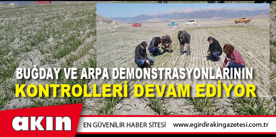 Buğday Ve Arpa Demonstrasyonlarının Kontrolleri Devam Ediyor