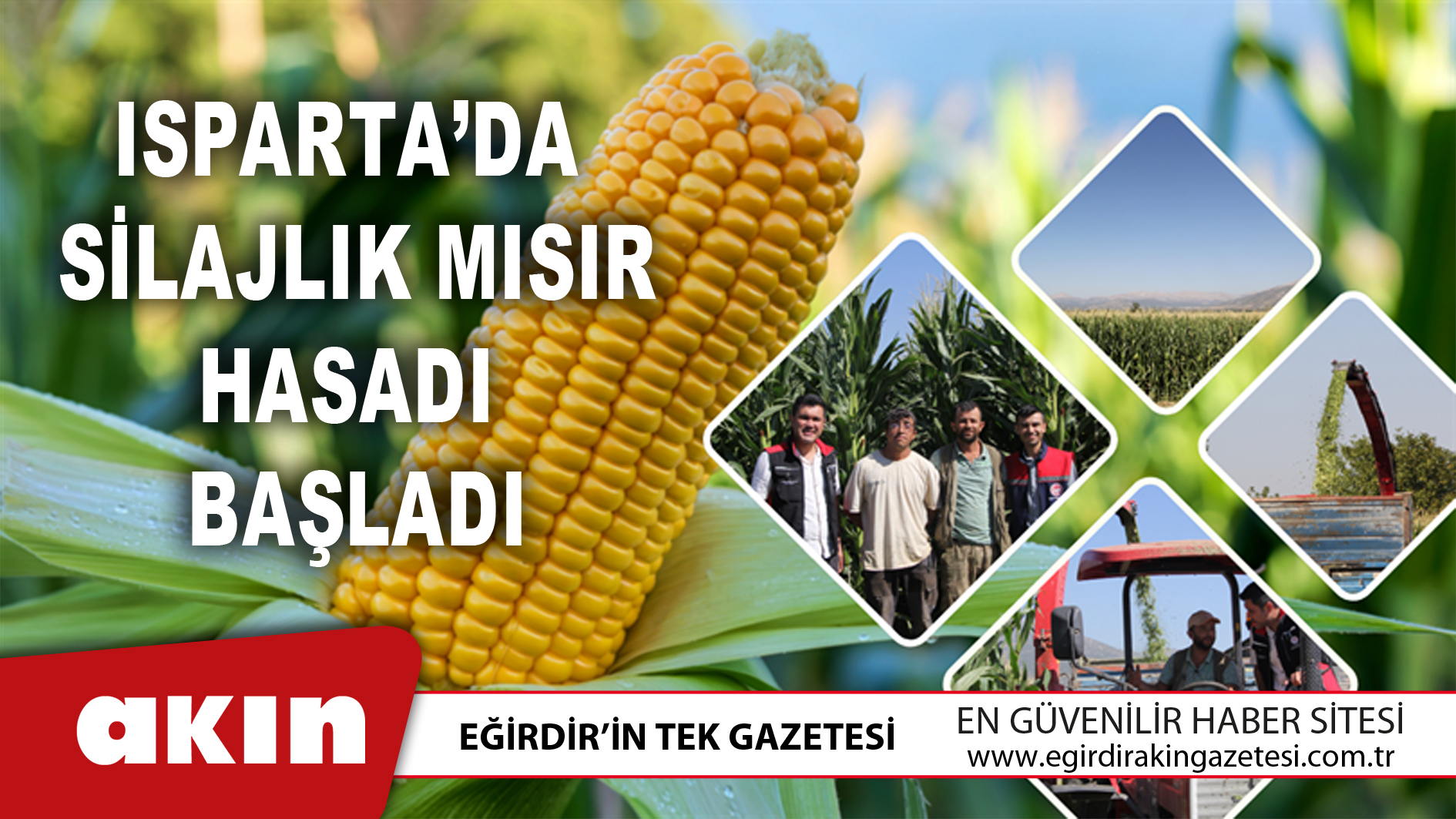 Isparta’da Silajlık Mısır Hasadı Başladı