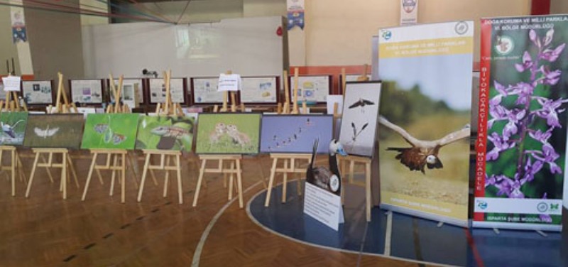 Isparta'da Dünya Göçmen Kuşlar Günü  Konulu Resim Sergisi Açıldı
