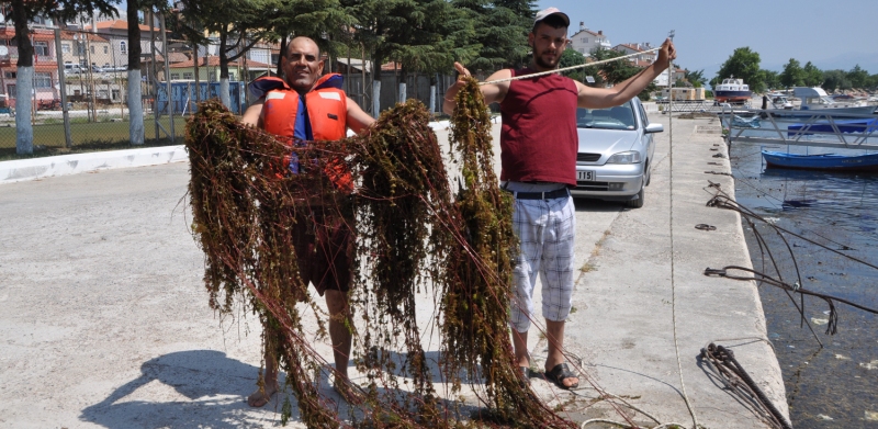 Eğirdir Limanı'nda yosun ve çöp temizliği