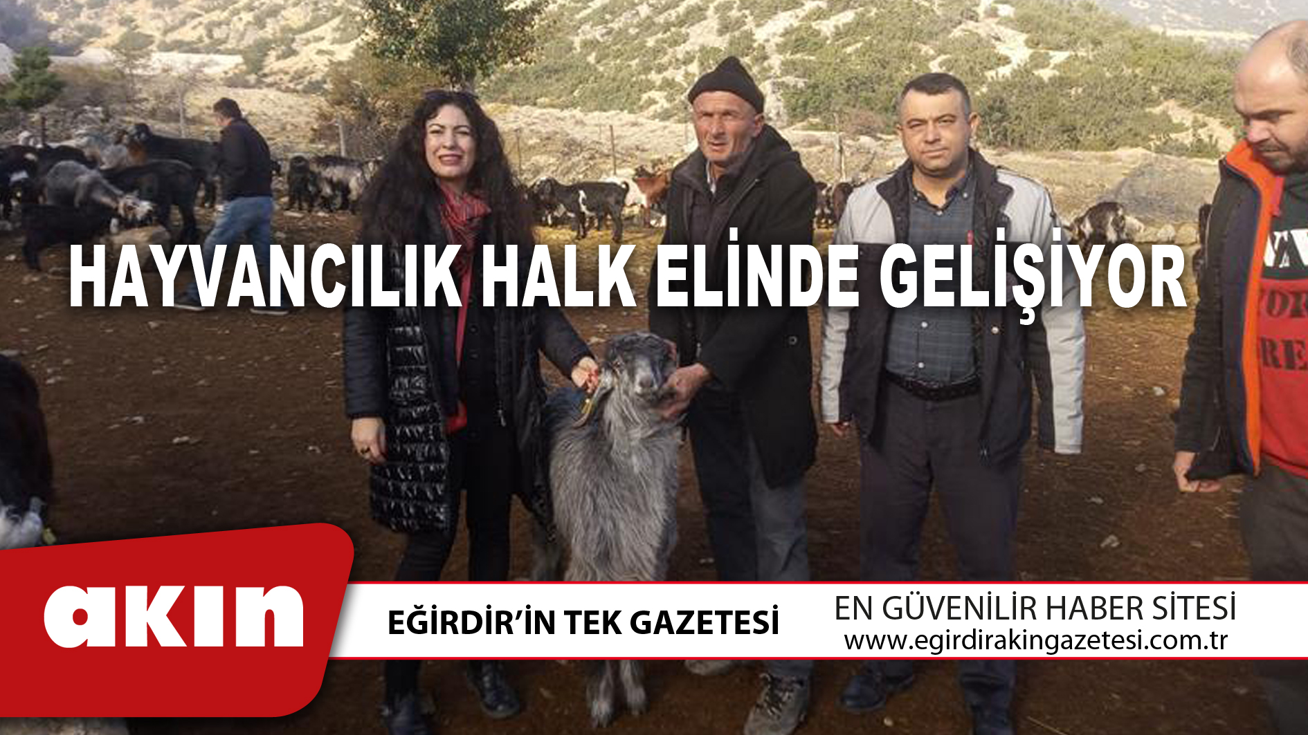 eğirdir haber,akın gazetesi,egirdir haberler,son dakika,HAYVANCILIK HALK ELİNDE GELİŞİYOR